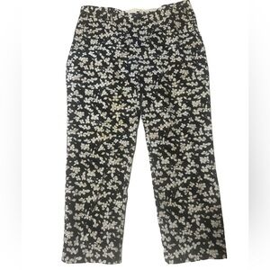 Banana Republic Women’s Hampton Pants 10